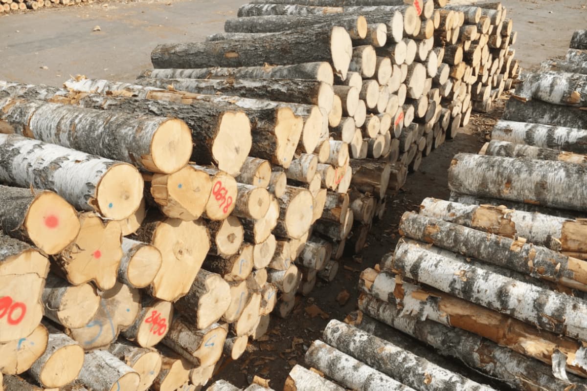 Bulk 160mm Wooden Forks Bulk 160mm Wooden Forks