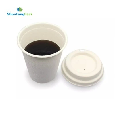 Tek Kullanımlık Bagasse Kahve Fincanları